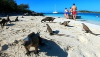 2023-02-15 (14 Tg) BAHAMAS (Katamaran-Wintertraum) - IN PLANUNG 2023-02-15 (14 Tg) BAHAMAS (Katamaran-Wintertraum) - IN PLANUNG