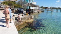 2023-02-15 (14 Tg) BAHAMAS (Katamaran-Wintertraum) - IN PLANUNG 2023-02-15 (14 Tg) BAHAMAS (Katamaran-Wintertraum) - IN PLANUNG