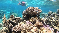 2023-04-09 (12 Tg) SÜDSEE, Bora-Bora, Franz. Polynesien (Wintertraum) - IN PLANUNG 2023-04-09 (12 Tg) SÜDSEE, Bora-Bora, Franz. Polynesien (Wintertraum) - IN PLANUNG