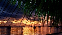 2023-04-09 (12 Tg) SÜDSEE, Bora-Bora, Franz. Polynesien (Wintertraum) - IN PLANUNG 2023-04-09 (12 Tg) SÜDSEE, Bora-Bora, Franz. Polynesien (Wintertraum) - IN PLANUNG