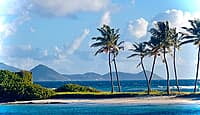 2026-01-28 (14 Tg) +++ IN PLANUNG +++ KARIBIK: "Wohin geht's denn?"-Törn: z.B. Martinique - Grenadinen (Katamaran-Wintertraum) 2026-01-28 (14 Tg) +++ IN PLANUNG +++ KARIBIK: "Wohin geht's denn?"-Törn: z.B. Martinique - Grenadinen (Katamaran-Wintertraum)