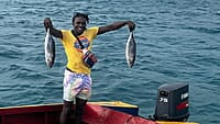 2026-01-28 (14 Tg) +++ IN PLANUNG +++ KARIBIK: "Wohin geht's denn?"-Törn: z.B. Martinique - Grenadinen (Katamaran-Wintertraum) 2026-01-28 (14 Tg) +++ IN PLANUNG +++ KARIBIK: "Wohin geht's denn?"-Törn: z.B. Martinique - Grenadinen (Katamaran-Wintertraum)