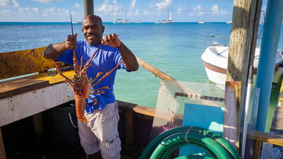 2021-11-30 (14 Tg) KARIBIK: British Virgin Islands (Katamaran-Wintertraum) - IN PLANUNG