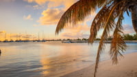 2021-11-30 (14 Tg) KARIBIK: British Virgin Islands (Katamaran-Wintertraum) - IN PLANUNG 2021-11-30 (14 Tg) KARIBIK: British Virgin Islands (Katamaran-Wintertraum) - IN PLANUNG