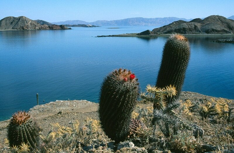 2025-01 (14 Tg) +++ IN PLANUNG +++ La Paz, Baja California, Mexiko (Katamaran Traum) - Skipper Ulli 2025-01 (14 Tg) +++ IN PLANUNG +++ La Paz, Baja California, Mexiko (Katamaran Traum) - Skipper Ulli