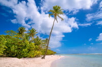 2022-11-29 (14 Tg) KARIBIK: Antigua & Barbuda (Katamaran-Wintertraum) - IN PLANUNG