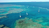 2025-04 (14 Tg) +++ IN PLANUNG +++ Whitsundays, Australien (Katamaran Traum) - Skipper Ulli